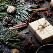 Alpine Cheer (Type) Fragrance Oil