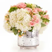 Cluster of Love