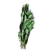 Bay Leaves