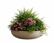 Botanical Centerpiece Plant Arrangements