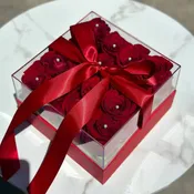 Arielle (pink box)