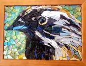 Backyard Birds with David Jarvinen -June 15, 2023