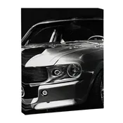 1967 Mustang Shelby GT 500 Canvas Print