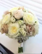 SOFT CREAM & BLUSH