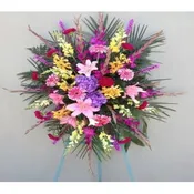 SYMPATHY SPRAY - SYM-049