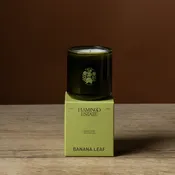 Flamingo Estate Candles — Mother Co., Plants