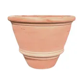 Arianna Planter