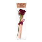 Letter in a bottle