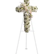 Divine Light Cross