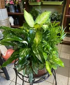 DELUXE DISH GARDEN PLANTER
