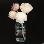 YEAR ROUND FAVORITES: Flower Reed Diffuser