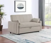 Portnoy Sofa Bed