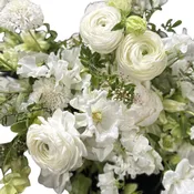 Signature White