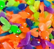 144 Vinyl Goldfish