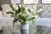 Ivory + Green