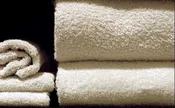 Bath Bundle 12-Pack Value Package