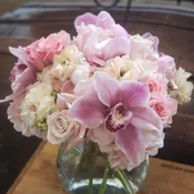 Pale Prettiness