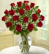 18 RED ROSE
