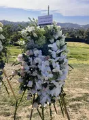 Orchid Standing Spray — BLOOMS BY BAHRAM