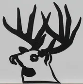 Buck Head