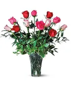 A Dozen Multi-Colored Roses