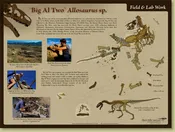 Allosaurus sp. BIG AL TWO Skeleton – Work Poster – Media Display