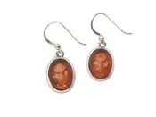 Amber Encased Flower Earrings