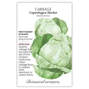 Cabbage Seeds
