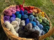 1 oz 100% Wool Fingering Weight Dyed