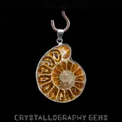 Ammonite Pendant