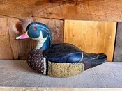 Wood Duck Drake