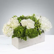 The Hamptons by BloomNation™
