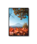 Japan Frame