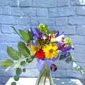 Bright and Cheery