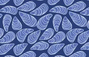 Blue Mussel Vinyl Placemat