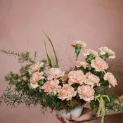 Crazy For Carnations