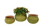 AGED BOLUDA PLANTER