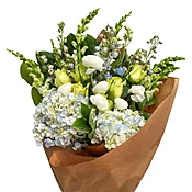 Alluring Aquamarine Bundle