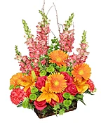 BRILLIANT BASKET