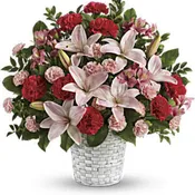 KF_T258-1A Sweet Sincerity