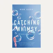 Catching Whimsy Book