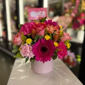 Nelly Pink Pot