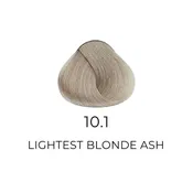 ALFAPARF MILANO Evolution of The Hair Color, 2.05oz – 10.1 – Ash – Lightest Ash Blonde