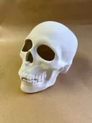 Skull (Large) — FAMILY TREE POTTERY