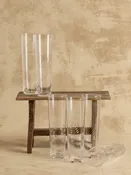 Botanical Etched Champagne Flutes (Set of 6) — Miller Lane Mercantile