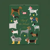 2027 Dog of the Month Kitchen Calendar (Jan 2027-Dec 2027)