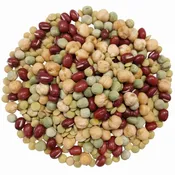 1 Pound – Rainbow Bean Mix: Adzuki, Garbanzo, Green Pea, Lentil