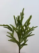 18 inch Norfolk pine pick