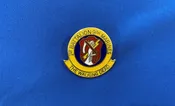 1/9 USMS Walking Dead Hat Pin