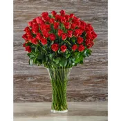 100 PREMIUM ROSES